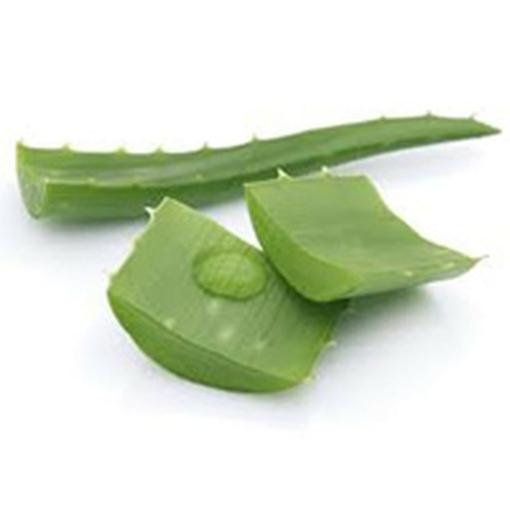 Organic Aloe Vera Leaf Capsules 500 Mg (Aloe Barbadensis)