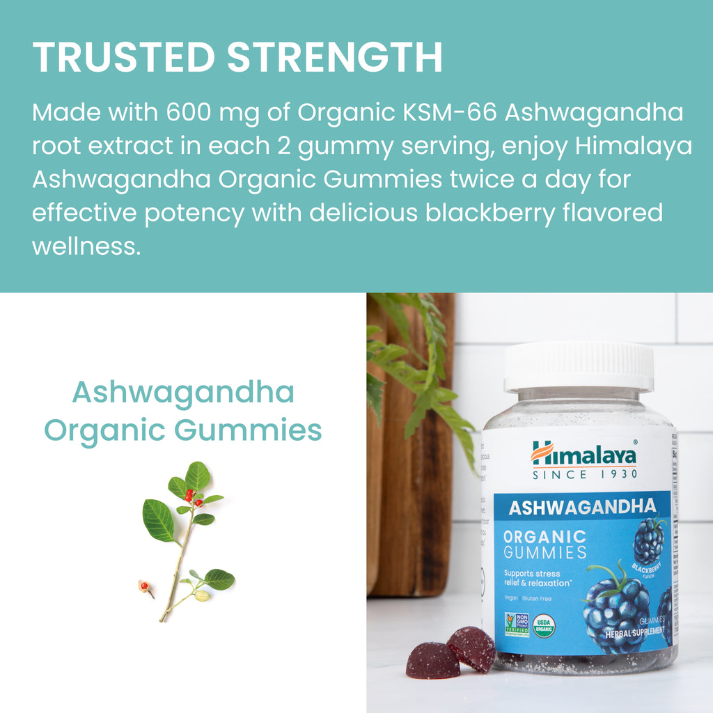 Ashwagandha Organic Gummies, KSM-66, for Stress Relief, Energy & Relaxation, 56 Gummies