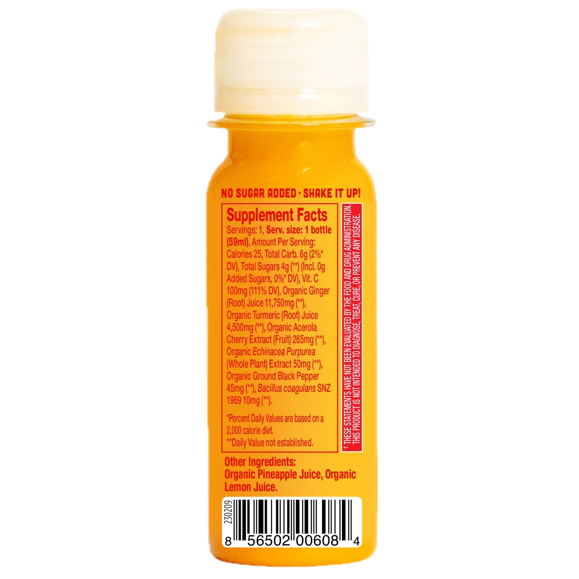 (2 Pack)  Immunity Boost Shot, Original Ginger and Turmeric Wellness Shot, 2 Fl Oz Bottle