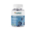 Ashwagandha Organic Gummies, KSM-66, for Stress Relief, Energy & Relaxation, 56 Gummies