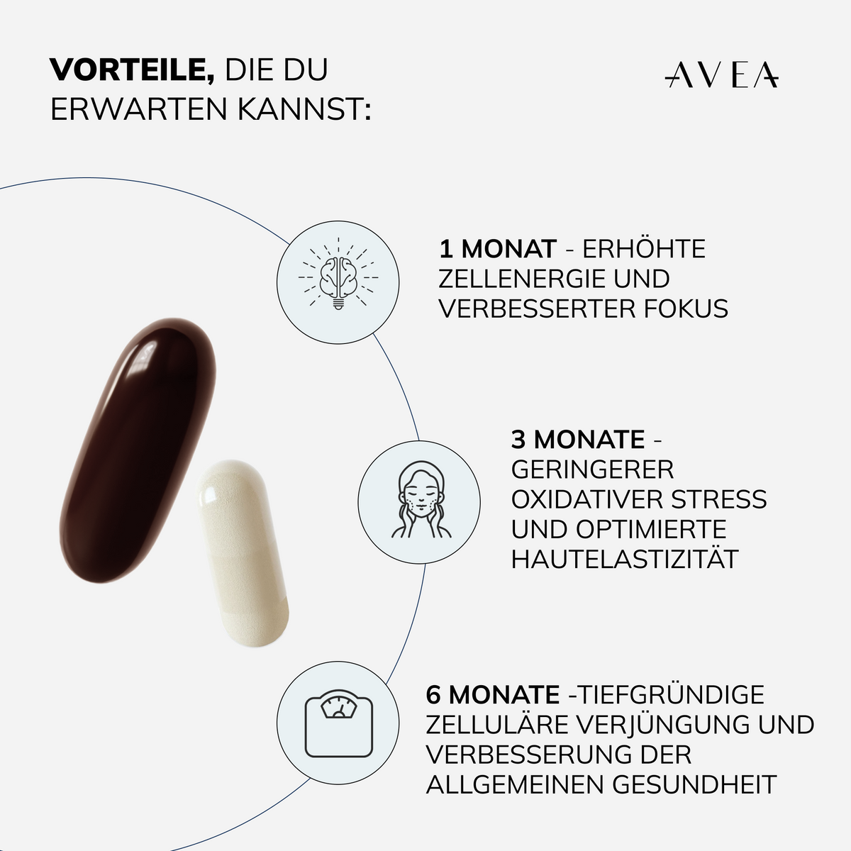 Revitalize Your Life with the Vitality Bundle: Unlock Youthful Energy and Focus