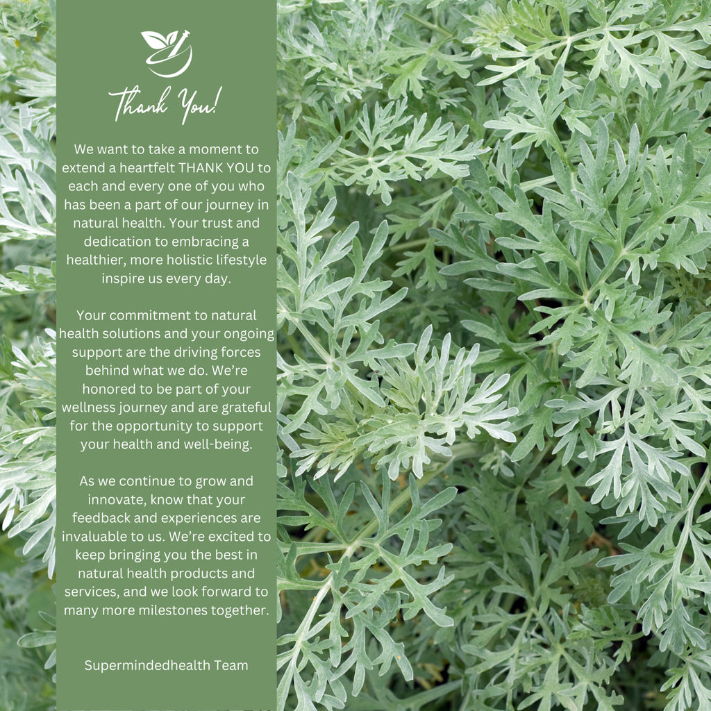 Organic Aloe Vera Leaf Capsules 500 Mg (Aloe Barbadensis)